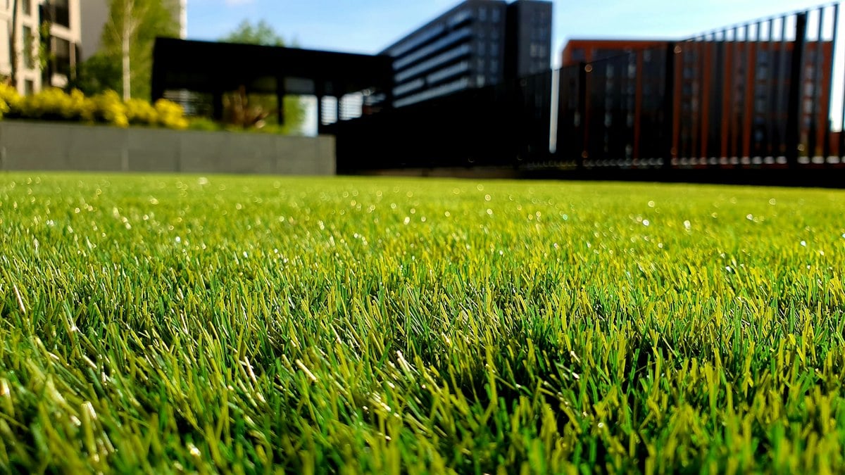 A neatly maintained green lawn